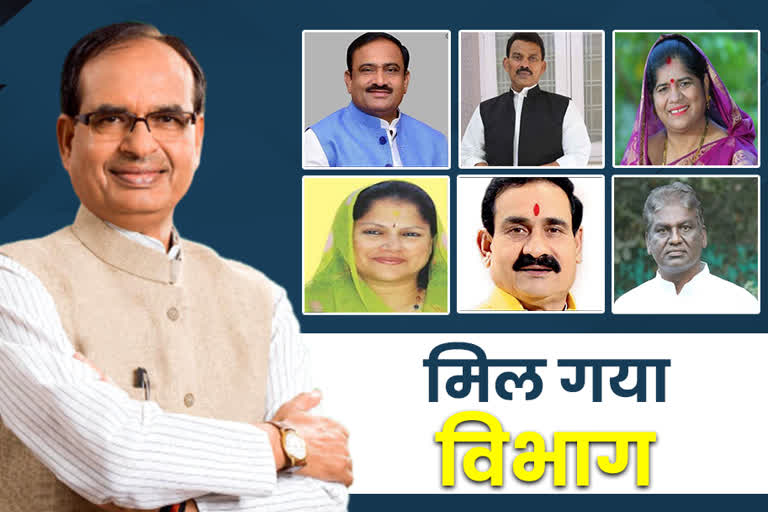 CM Shivraj distributed the department to ministers