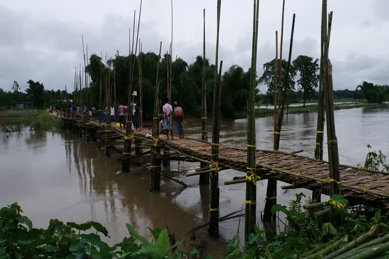 Dhubri Muamari bamboo bridge