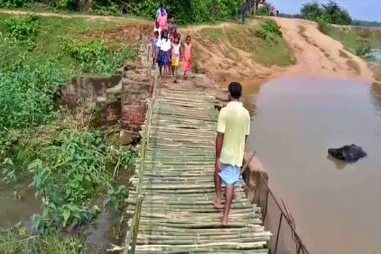 Villagers collect donations and build bamboo bridge in drain in giridih