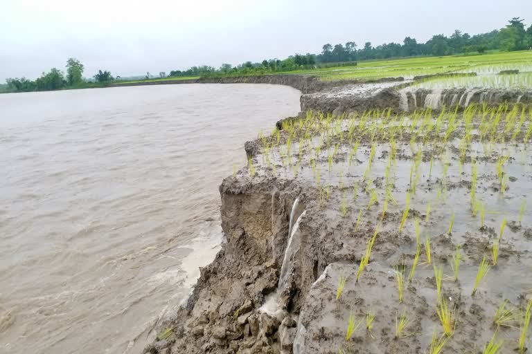 erosion of Nangalbhanga river chirang assam etv bharat news