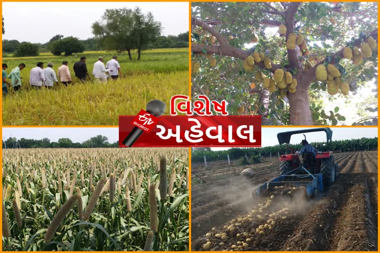 ખેડૂતોને નાણાકીય સહાય આપતી બે યોજનાઓ થઈ જાહેર જાણો યોજના વિશે