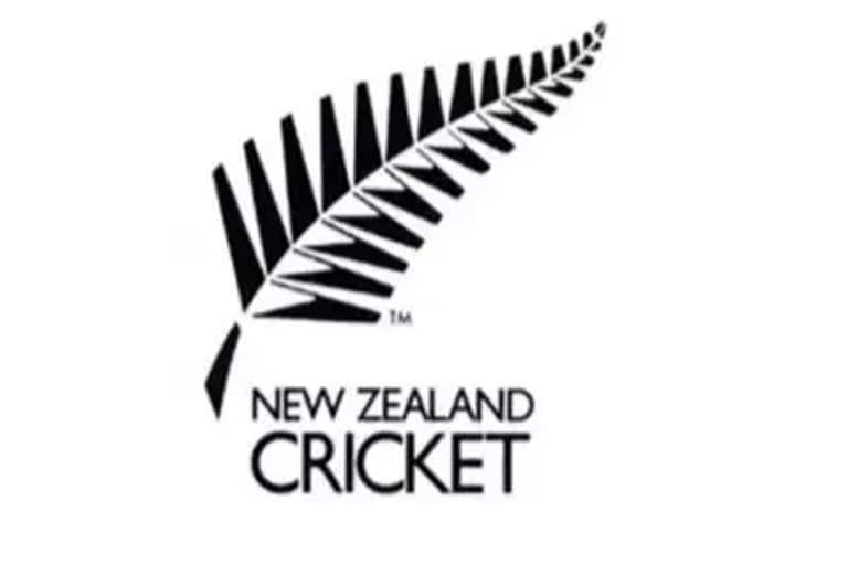 New Zealand cricketers start squad training at High Performance Centre in Lincoln | Cricket News - Times of India