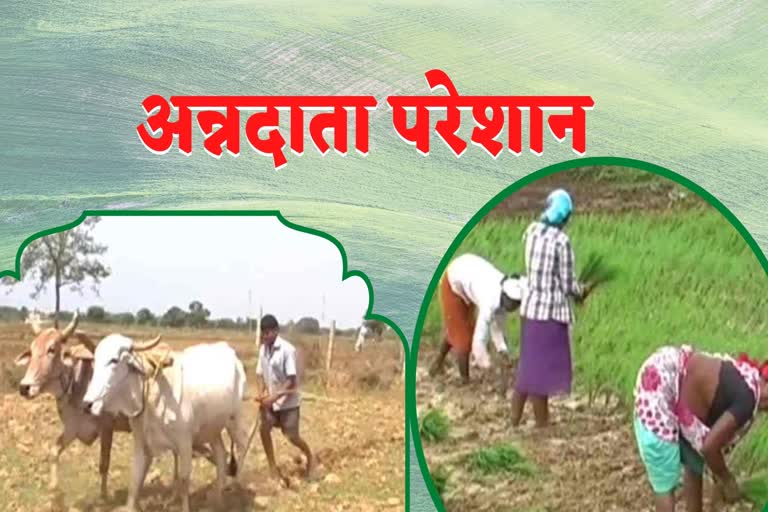 55 thousand farmers of Mahasamund upset