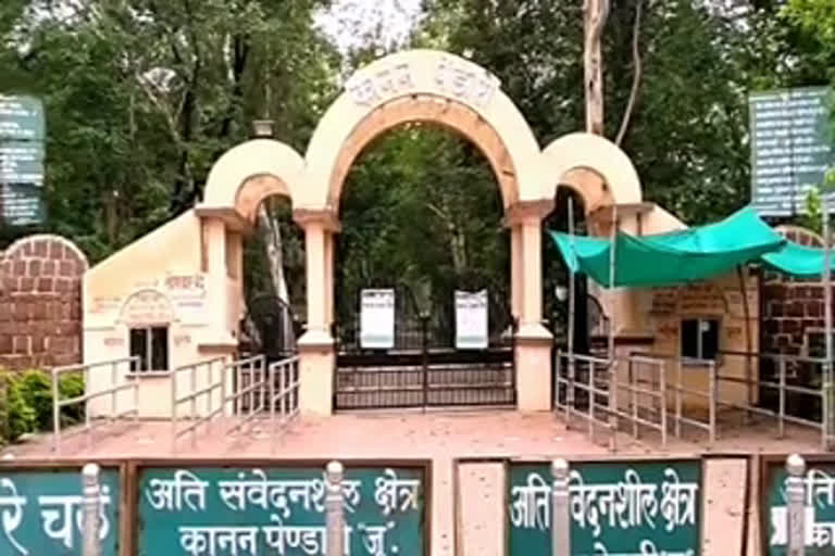 wild animal death case in kanan pendari zoo