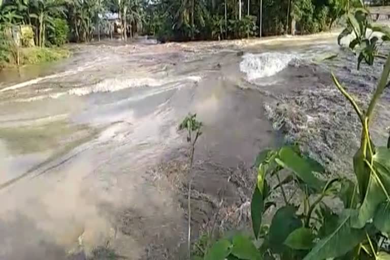 Erosion Wreaks Havoc In Assam nagaon