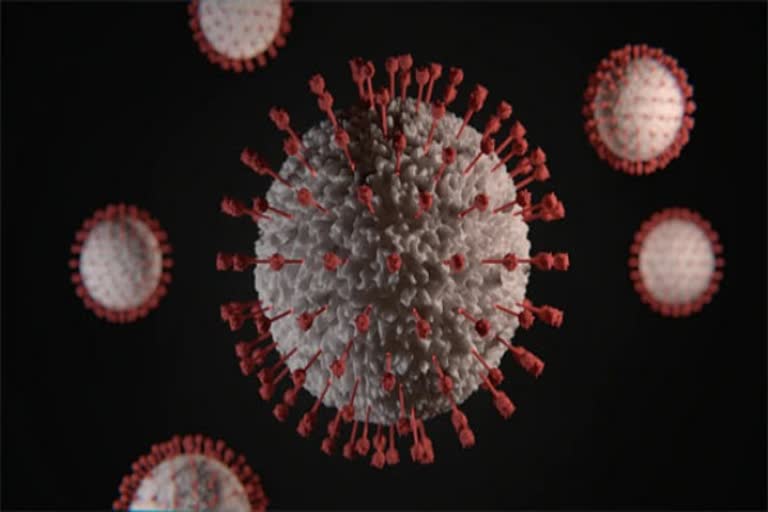 Coronavirus immunity may disappear within months new study suggests