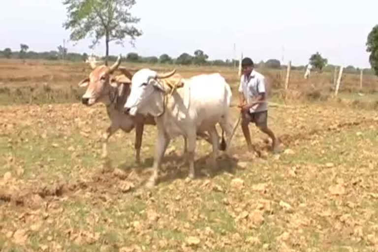 Farmers started adopting organic farming