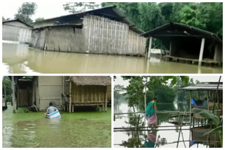 flood effect in assam, 22 lakh people in 27 districts are in crisis