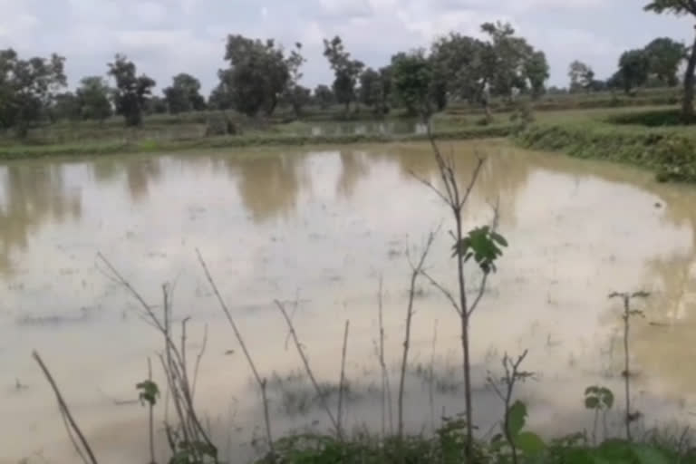 heavy rainfall in takhatpur