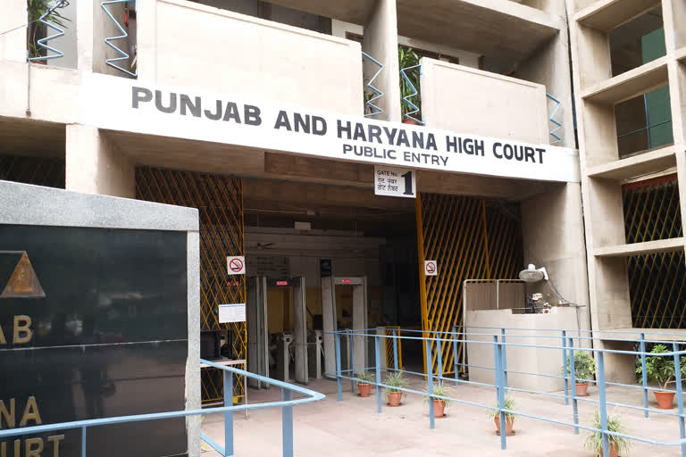 Punjab and Haryana High Court Heard on Witness Protection Scheme