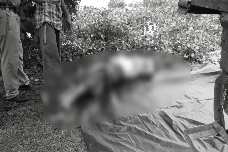 One Dead body Recovered At Dhubri