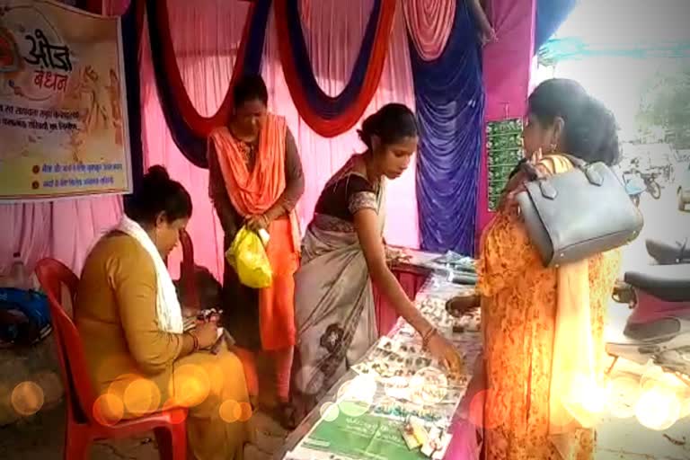 cow dung rakhi in dhamtari