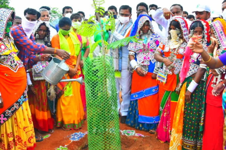 Agriculture Minister Niranjan Reddy Participated Harithaharam programme in Wanaparthy District