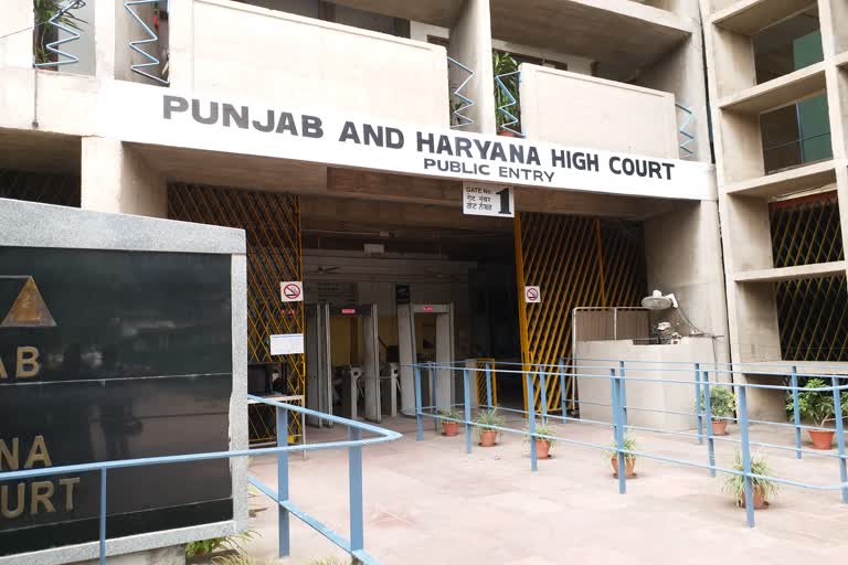 wearing mask rule PIL haryana high court