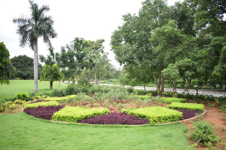 Harithaharam Programme in Osmania University