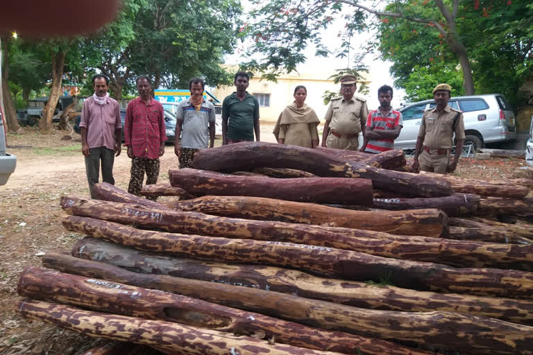 Smuggling of red sandalwood