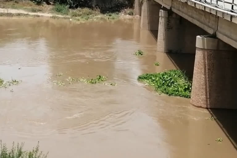 people of Sardulgarh are worried due to rising water level in Ghaggar