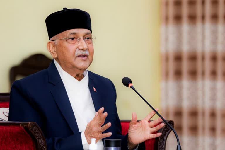 kp oli