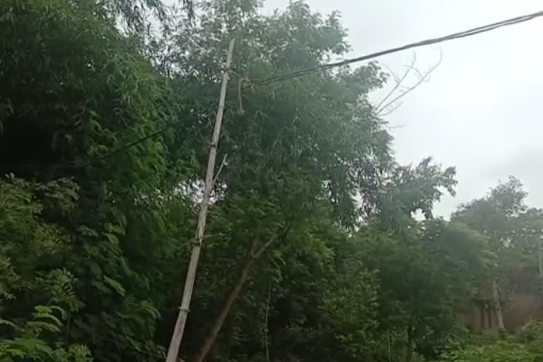 electric connections with the help of bamboo