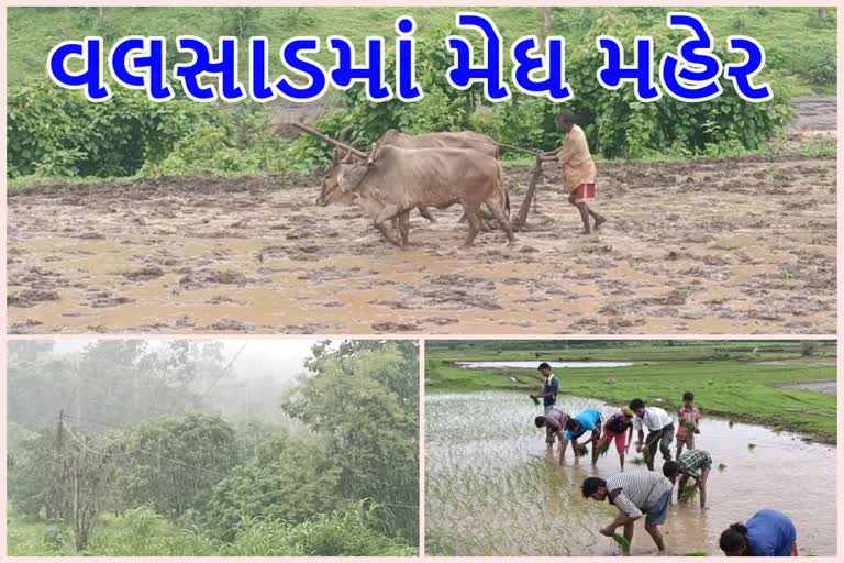 valsad