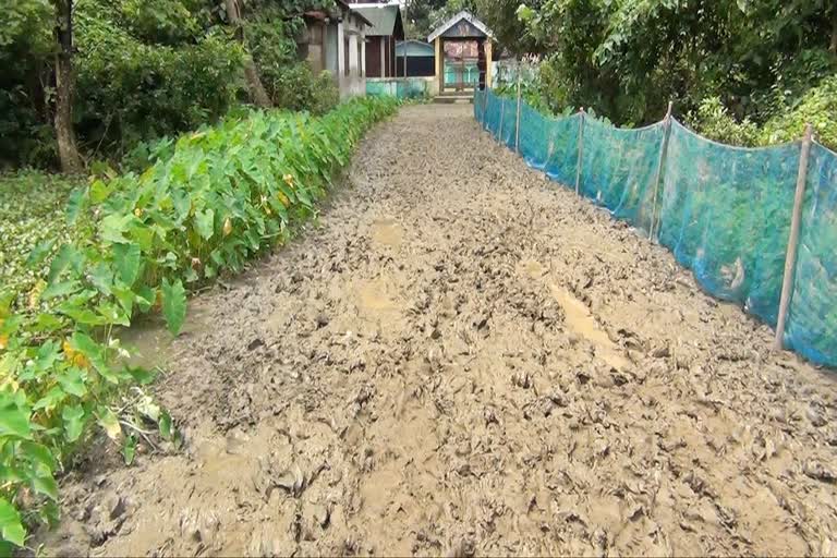 Poor condition of a road near sundaridiya satra barpeta assam etv bharat news