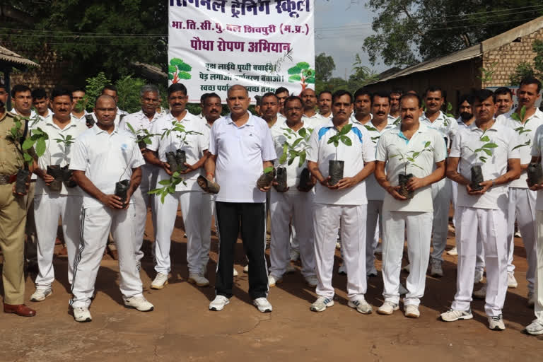 Fruit and shade plants planted in ITBP campus