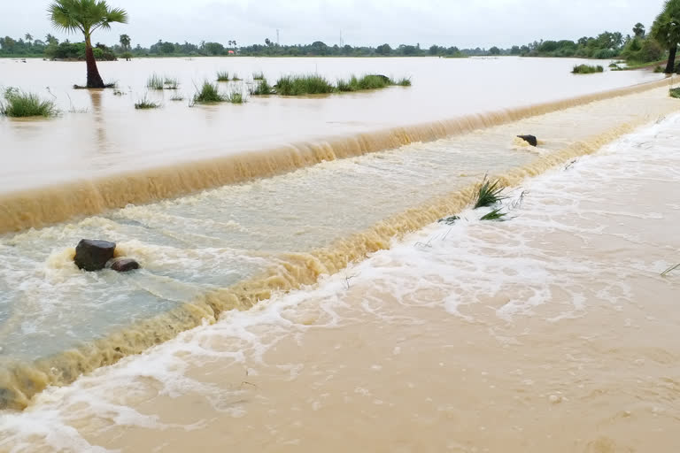 తాడిపూడి కాలువకు గండి