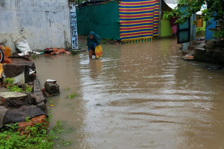 heavy rains in tanuku