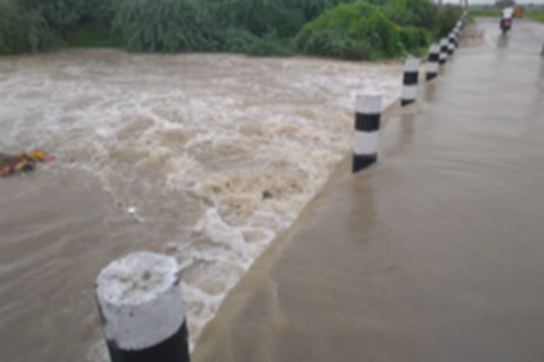 nalla vagu at krishna district over flowing