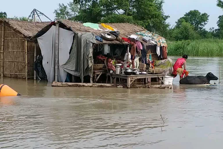 52 villages of Gopalganj affected by floods