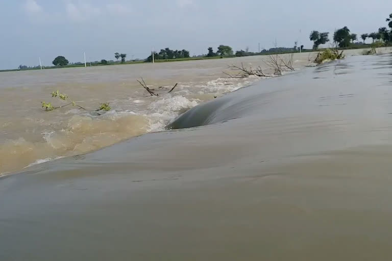 Bihar continues to battle floods as water levels in rivers rise