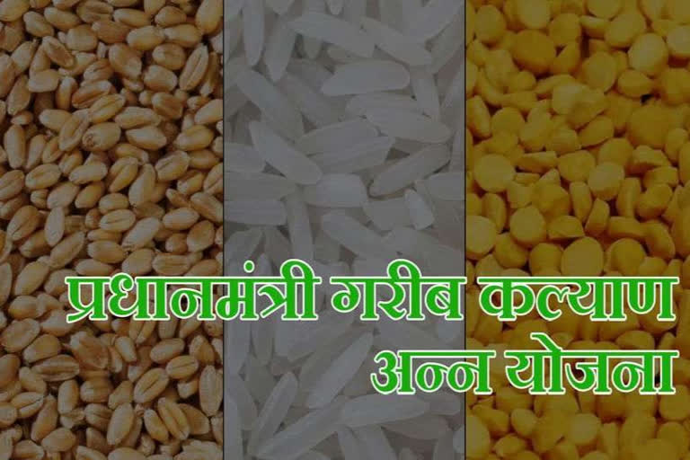 Free wheat and rice under Pradhan Mantri Garib Kalyan Yojana in chandrapur