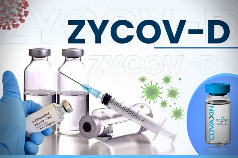 zydus cadila begins human clinical trials of covid 19 vaccine