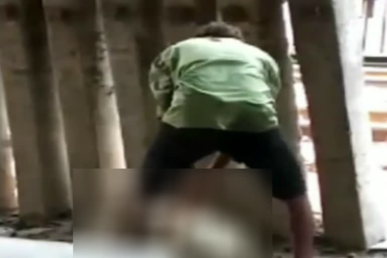 ghaziabad video viral young man beat dog to death
