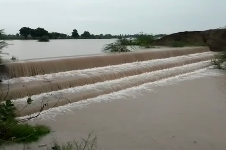 heavy rain in amreli