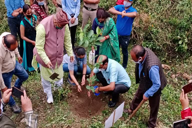 agriculture-minister-subodh-uniyal-did-plantation-in-mussoorie