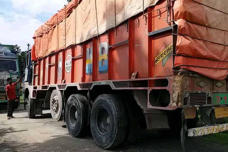 Cow Loaded Truck Seized at Biswanath