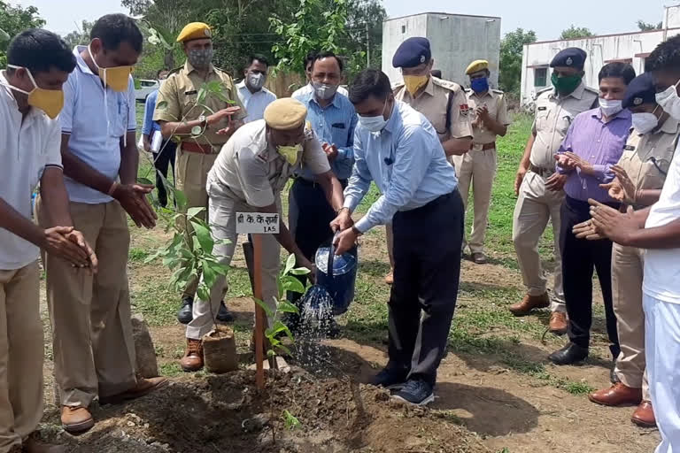 चित्तौड़गढ़ में पौधारोपण कार्यक्रम, Plantation program in Chittorgarh, 71st Forest Festival in Chittorgarh