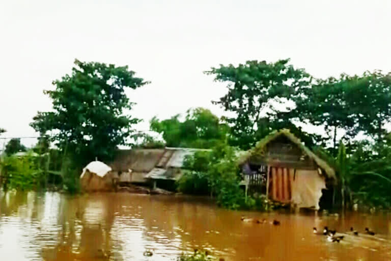 Assam Flood Update