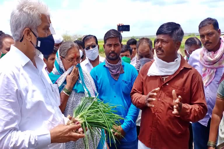 agriculture-minister-dada-bhuse-visited-farmers-at-manmad