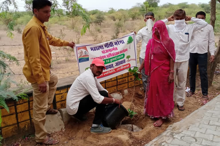 पौधारोपण कार्यक्रम का आयोजन, tree planting program