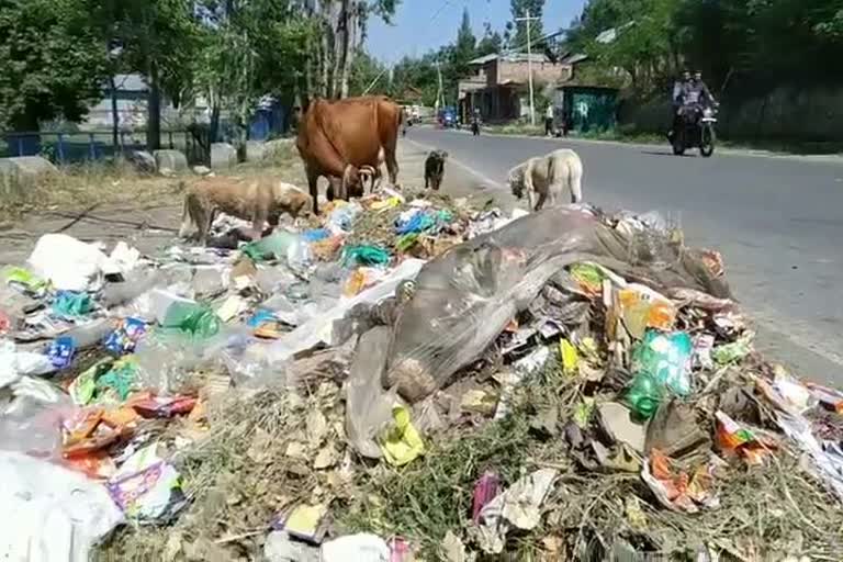 کولگام میں جگہ جگہ گندگی کے ڈھیر، مقامی آبادی مشکلات سے دوچار