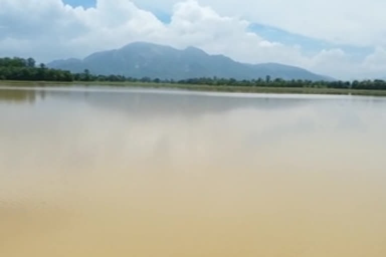 farm field gets filled with water in palakonda mandal due to heavy rains