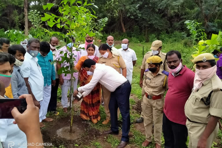 warangal rural district excise superintendent participated in harithaharam programme