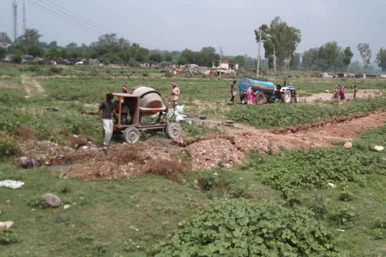 dharampur mandi