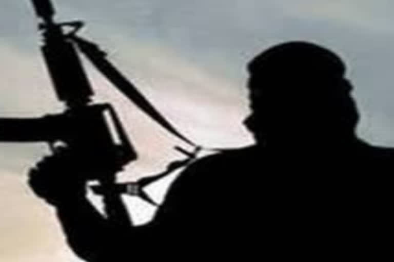 Militant killed as Army foils infiltration bid along LoC in J-K's Kupwara