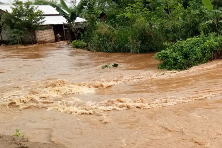 Flood situation gradually become more critical in Assam