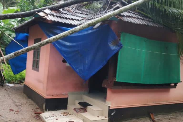 കോഴിക്കോട് വാർത്ത  Widespread damage  Beypore region due to wind and rain  ബേപ്പൂർ മേഖലയിൽ വ്യാപക നാശനഷ്‌ടം