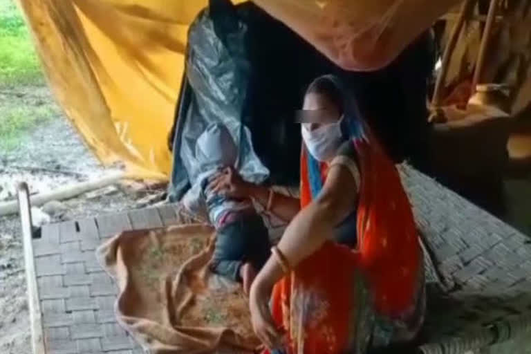 Mother feeding on infected child