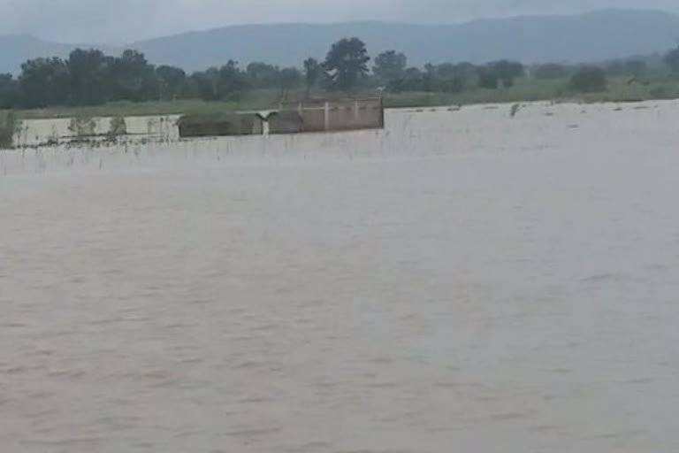 Ganga's water level reached near danger mark in Sahibganj